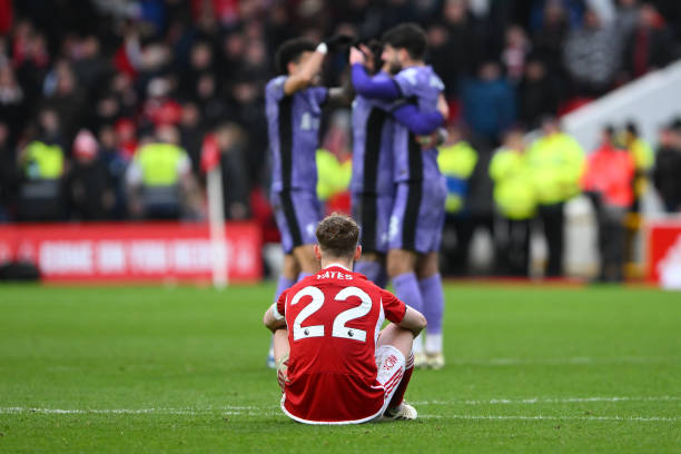 家队整体的 家队整体的